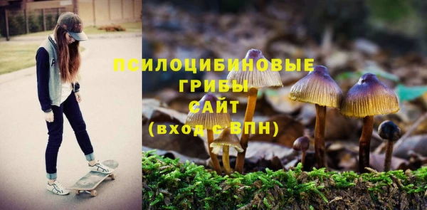 ALPHA PVP Нягань