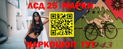дмт Будённовск
