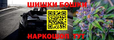 дмт Будённовск