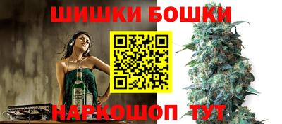 дмт Будённовск