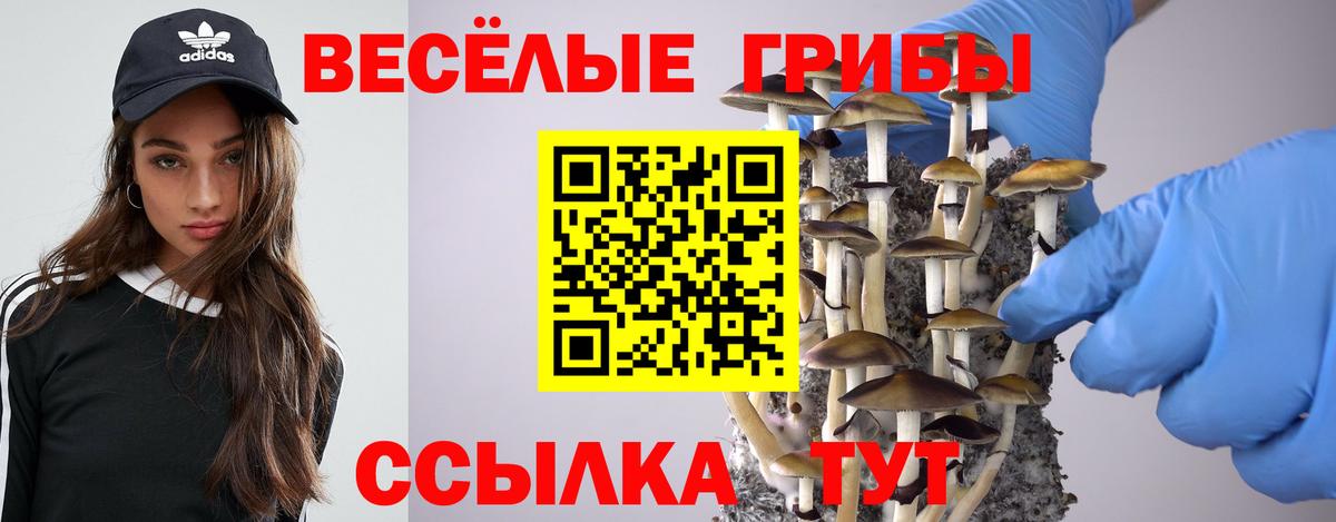 Псилоцибиновые грибы мицелий  Губаха  Псилоцибиновые грибы Magic Shrooms 