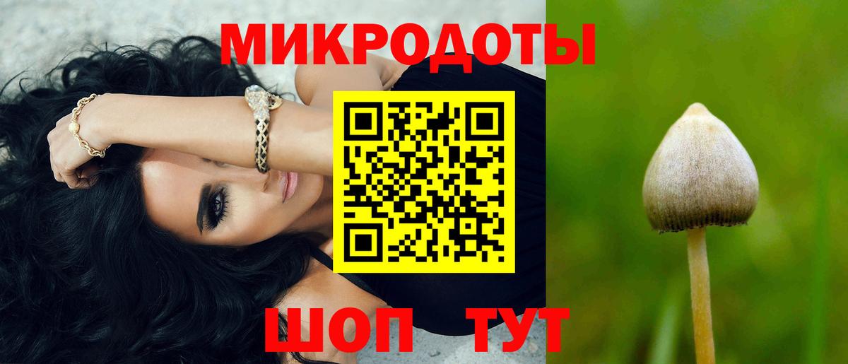 Галлюциногенные грибы MAGIC MUSHROOMS  Вход с VPN  Губаха 
